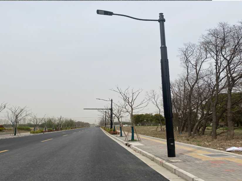萨尔图区上海综合杆 太阳能路灯工程